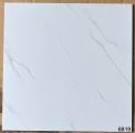 Gạch men bóng 60x60 VG6819